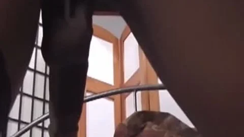A large black shemale 10-Pounder For Your lovely wazoo