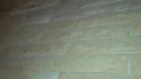 Tattooed Ladyboy Wanks In asian Hotel