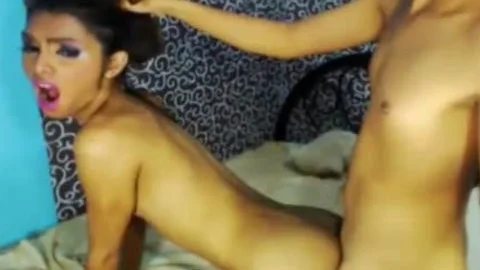 astonishing nasty shemales loves butthole plowing